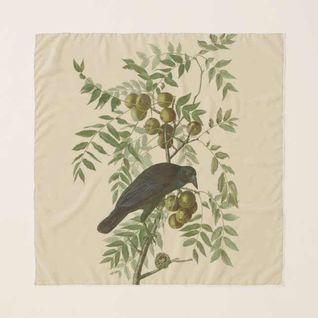Audubon American Crow Black Bird Scarf (Front)