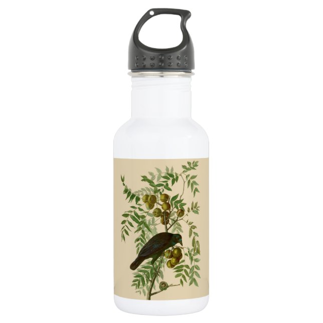 Audubon American Crow Black Bird Stainless Steel Water Bottle (Front)