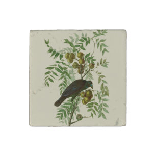 Audubon American Crow Black Bird Stone Magnet