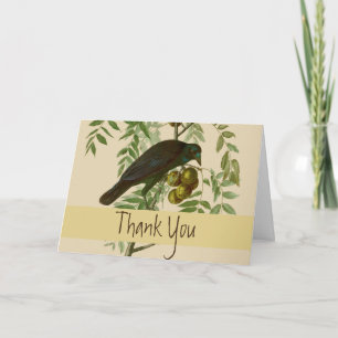 Audubon American Crow Black Bird Thank You Card