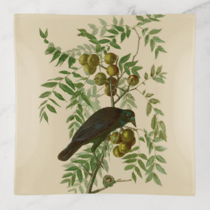 Audubon American Crow Black Bird Trinket Tray