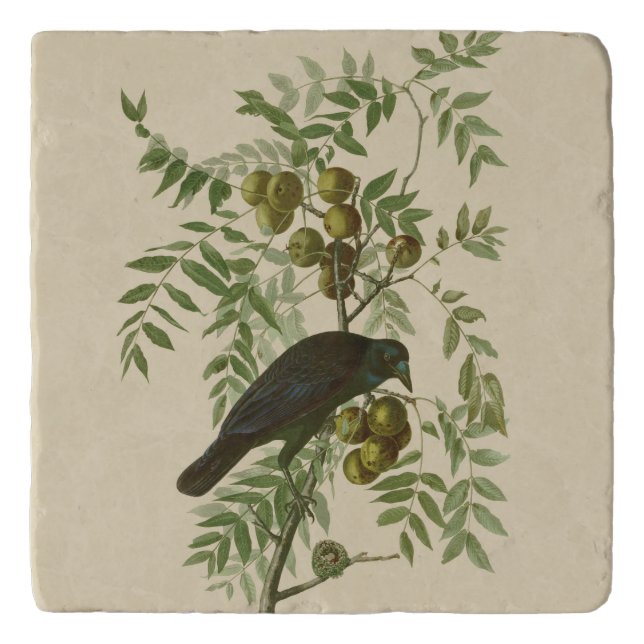 Audubon American Crow Black Bird Trivet (Front)