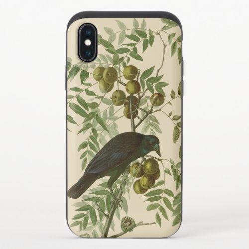 Audubon American Crow Black Bird iPhone X Slider Case