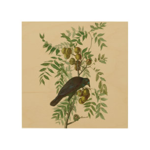 Audubon American Crow Black Bird Wood Wall Art