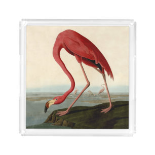 Audubon American Flamingo Acrylic Tray