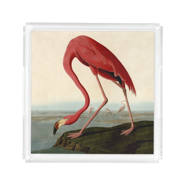 Audubon American Flamingo Acrylic Tray (Front)