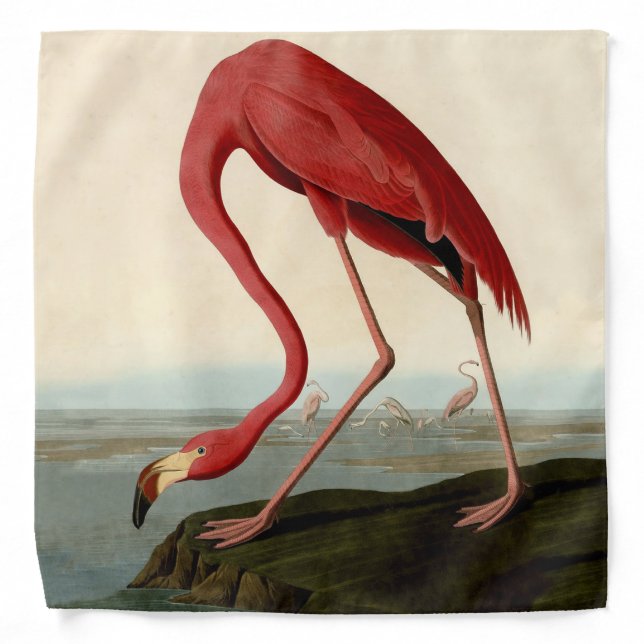 Audubon American Flamingo Bandana (Front)