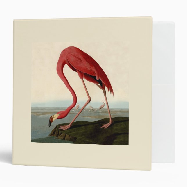 Audubon American Flamingo Binder (Front/Inside)