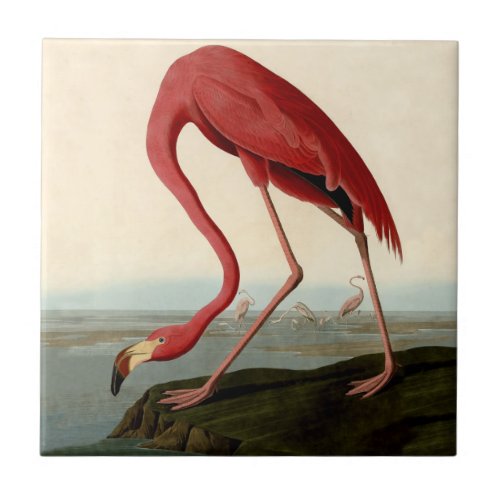 Audubon American Flamingo Ceramic Tile