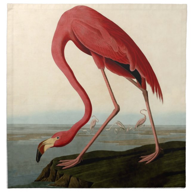 Audubon American Flamingo Cloth Napkin (Front)