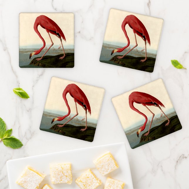 Audubon American Flamingo Coaster Set (In Situ)