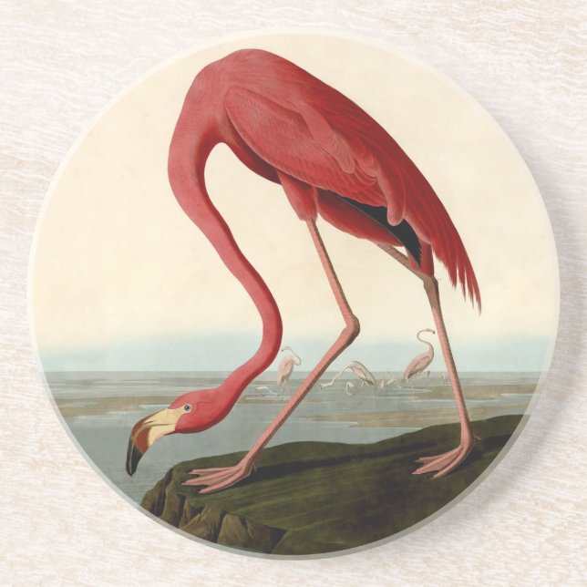 Audubon American Flamingo Drink Coaster (Front)