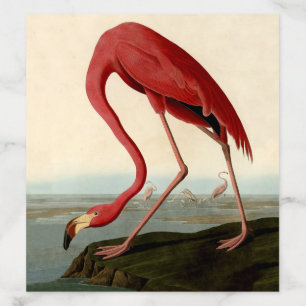 Audubon American Flamingo Envelope Liner