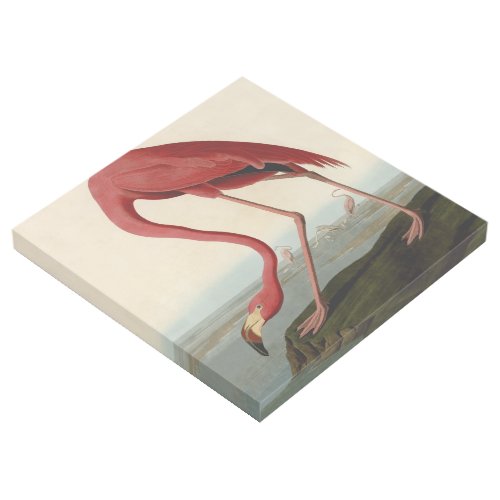 Audubon American Flamingo Gallery Wrap