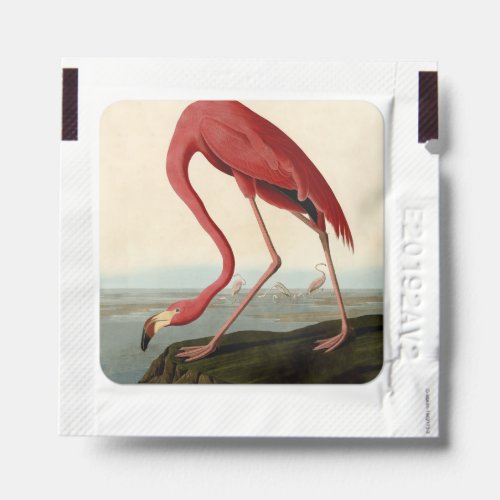 Audubon American Flamingo Hand Sanitizer Packet