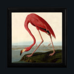 Audubon American Flamingo Jewelry Box<br><div class="desc">Audubon Birds - John James Audubon - American Flamingo John James Audubon created this beautiful American Flamingo illustration, an aquatint engraving with original hand coloring, and published it in the famous original Birds of America books produced in the early 1800s. The American Flamingo is a beautiful print -- one of...</div>