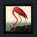Audubon American Flamingo Jewelry Box<br><div class="desc">Audubon Birds - John James Audubon - American Flamingo John James Audubon created this beautiful American Flamingo illustration, an aquatint engraving with original hand coloring, and published it in the famous original Birds of America books produced in the early 1800s. The American Flamingo is a beautiful print -- one of...</div>