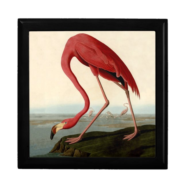 Audubon American Flamingo Jewelry Box (Front)