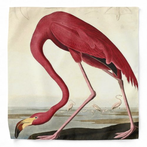 Audubon American Flamingo John James Audubon Bandana