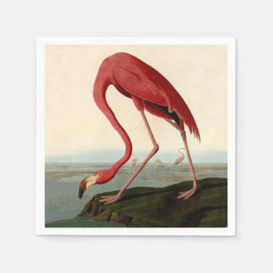 Audubon American Flamingo Napkins