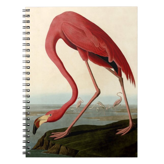 Audubon American Flamingo Notebook (Front)