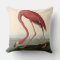 Audubon American Flamingo