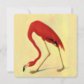 Audubon American Flamingo Painting (Front)