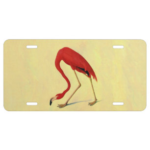 Audubon American Flamingo Painting License Plate
