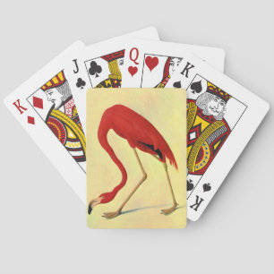 Audubon American Flamingo Painting Poker Cards