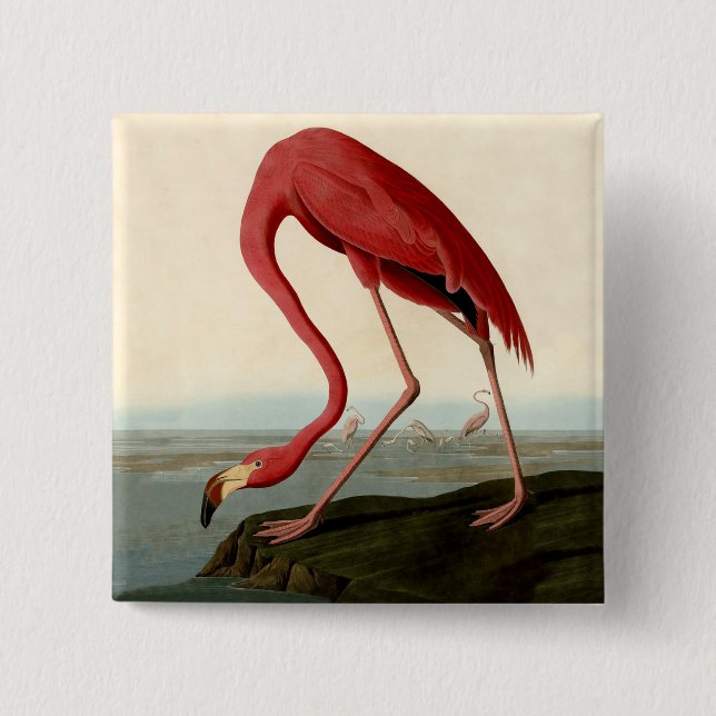 Audubon American Flamingo Pinback Button (Front)