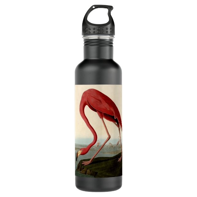 Audubon American Flamingo Stainless Steel Water Bottle (Front)