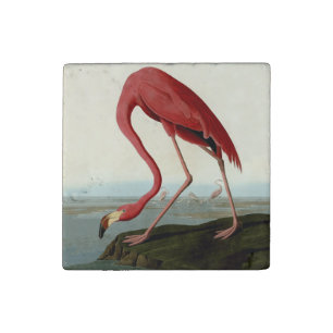 Audubon American Flamingo Stone Magnet