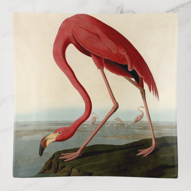 Audubon American Flamingo Trinket Tray (Front)