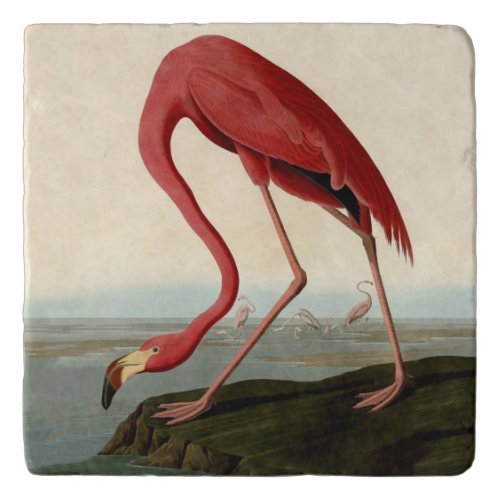 Audubon American Flamingo Trivet
