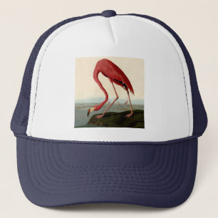 Audubon American Flamingo Trucker Hat