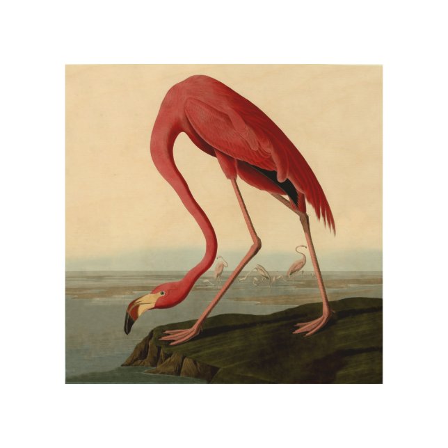 Audubon American Flamingo Wood Wall Art (Front)