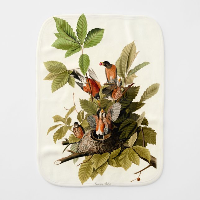 Audubon American Robin Wildlife Bird Illustration Baby Burp Cloth (Front)