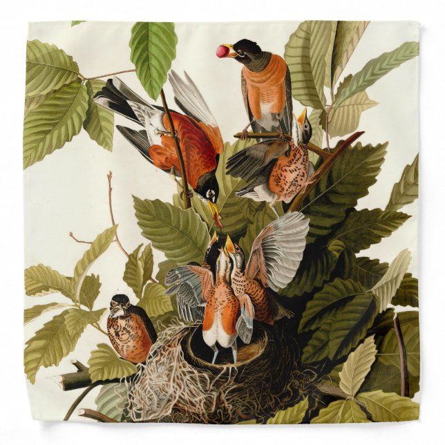 Audubon American Robin Wildlife Bird Illustration Bandana (Front)