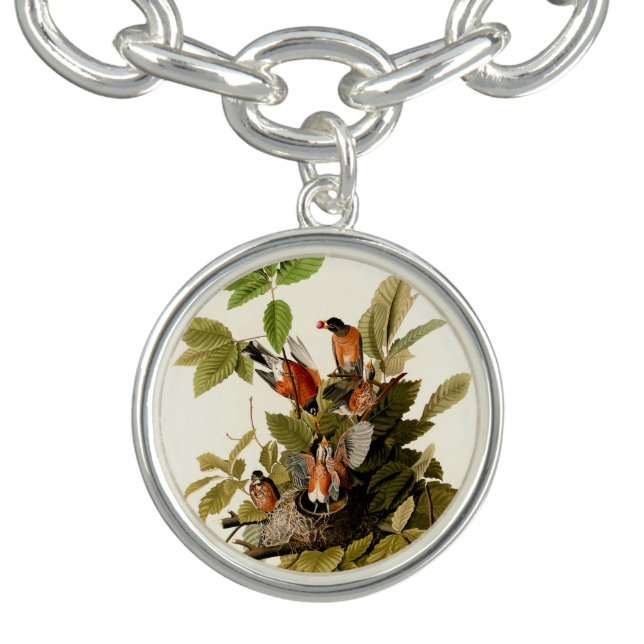 Audubon American Robin Wildlife Bird Illustration Bracelet (Design)