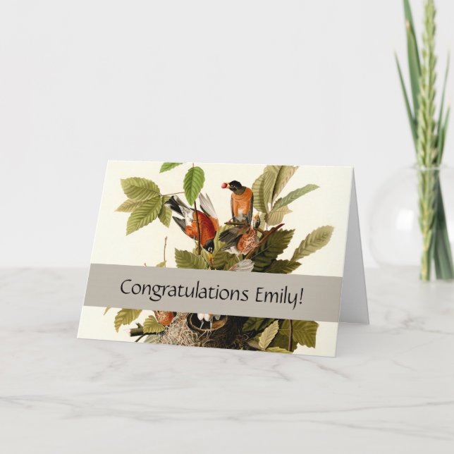 Audubon American Robin Wildlife Bird Illustration Card (Front)