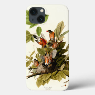 Audubon American Robin Wildlife Bird Illustration iPhone 13 Case