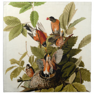 Audubon American Robin Wildlife Bird Illustration Cloth Napkin