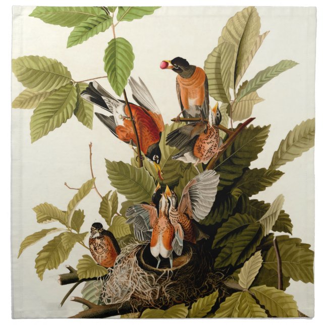 Audubon American Robin Wildlife Bird Illustration Cloth Napkin (Front)