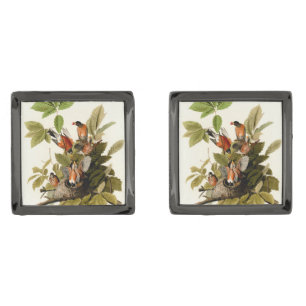 Audubon American Robin Wildlife Bird Illustration Cufflinks