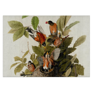 Audubon American Robin Wildlife Bird Illustration Cutting Board
