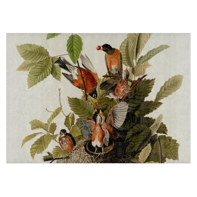 Audubon American Robin Wildlife Bird Illustration Cutting Board (Front)