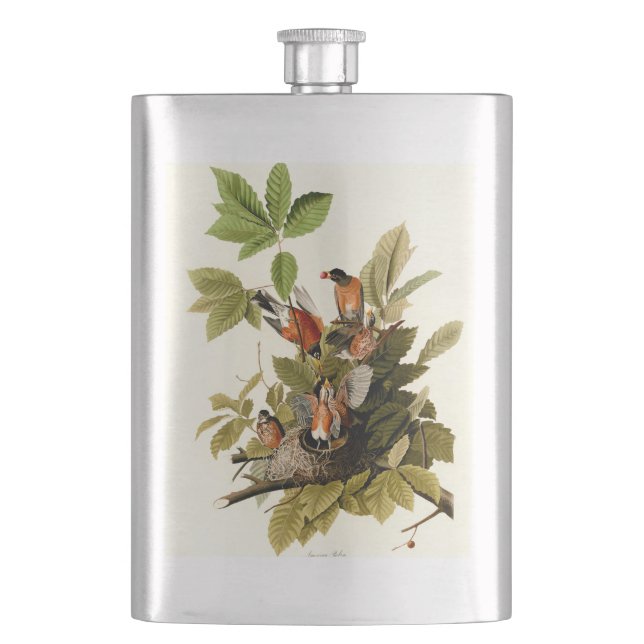 Audubon American Robin Wildlife Bird Illustration Flask (Front)