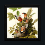 Audubon American Robin Wildlife Bird Illustration Gift Box<br><div class="desc">Spring Robin - This image is based on the John James Audubon illustration of an American Robin bird, from the Birds of America illustration published in the early 1800s.</div>