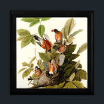 Audubon American Robin Wildlife Bird Illustration Gift Box<br><div class="desc">Spring Robin - This image is based on the John James Audubon illustration of an American Robin bird, from the Birds of America illustration published in the early 1800s.</div>