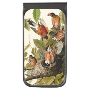 Audubon American Robin Wildlife Bird Illustration Gunmetal Finish Money Clip
